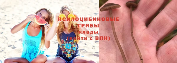 амф Верея