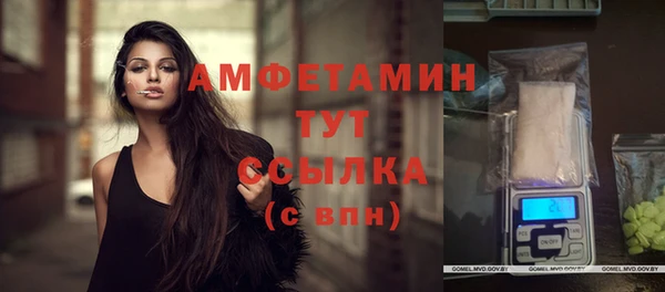 амф Верея