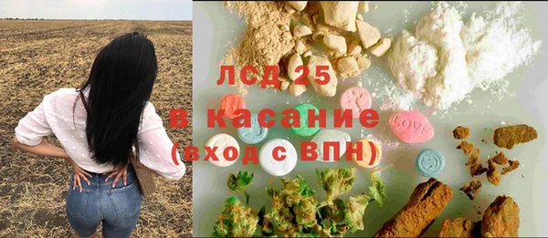 прущие грибы Верхнеуральск