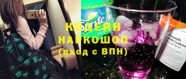 МДПВ Бородино