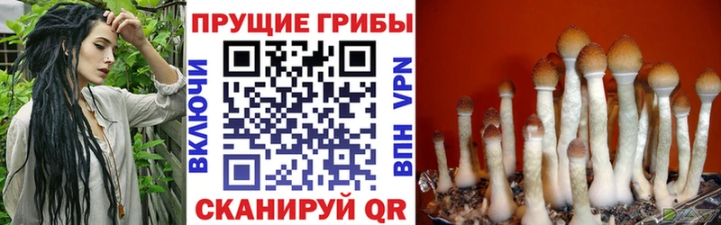 площадка наркотические препараты  Гагарин  Псилоцибиновые грибы мухоморы 